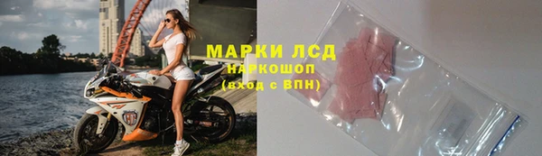спайс Баксан