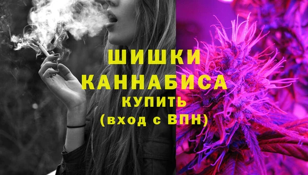 спайс Баксан