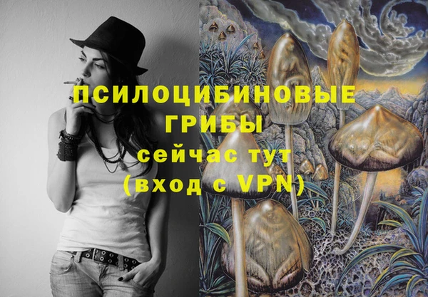 спиды Балабаново