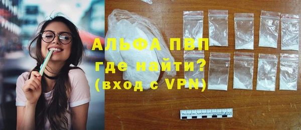 сатива Аркадак