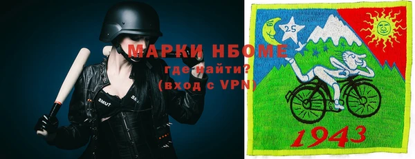 сатива Аркадак