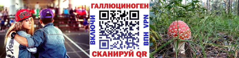 Псилоцибиновые грибы GOLDEN TEACHER  Буинск 